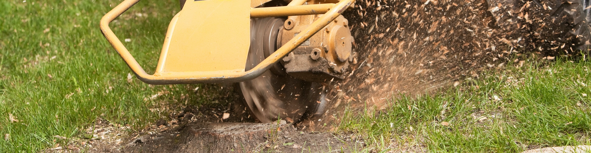 Tree Stump Grinding Services