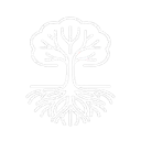Deep Root Fertilization