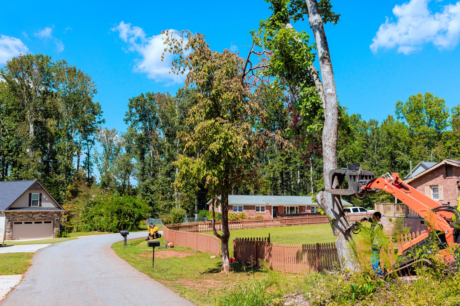 Tree Pruning Services